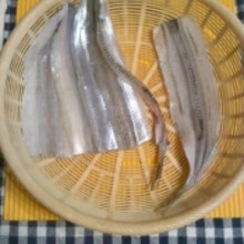 サヨリの塩焼き レシピ 作り方 By テツオ63 楽天レシピ サヨリの塩焼き レシピ 作り方 By テツオ63 楽天レシピ